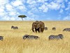 Přivítání s Afrikou - obrázek č. 7